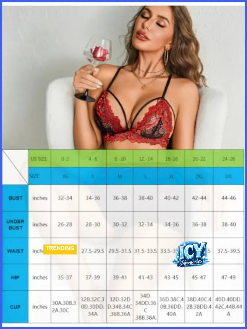 Women's Sheer Lace 3pc Lingerie Set with Skirt and Panties